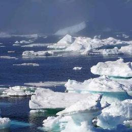 A Gronelândia está perdendo gelo sete vezes mais rápido do que nos anos 90