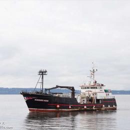 Cinco mortos em naufrágio no mar de Bering 
