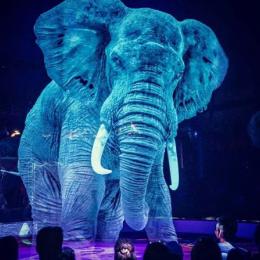 Circo alemão usa hologramas em vez de animais vivos para uma experiência mágica
