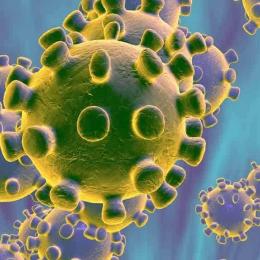 O novo coronavírus: perguntas e respostas