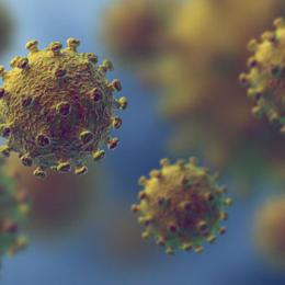 O coronavírus se espalha rapidamente, segundo estudo