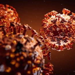A epidemia de coronavírus COVID-19 tem uma origem natural