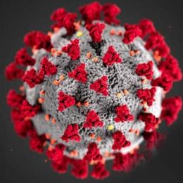 O coronavírus espalha-se rapidamente, antes de haver sintomas