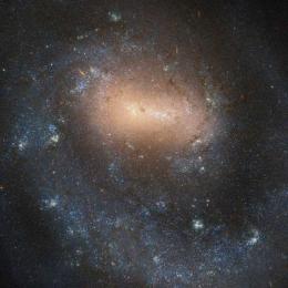 Hubble mostra galáxia espiral com apenas um braço