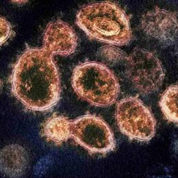 Médicos dos EUA afastam outro mito do coronavírus
