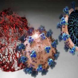 Medicamento experimental pode bloquear infecções por SARS-CoV-2 ( Coronavírus )
