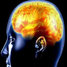 Portadores de epilepsia sofrem com efeitos do estress na quarentena