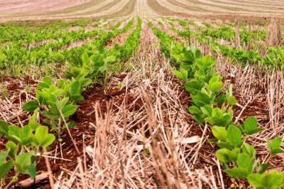 'Relação de troca entre soja e fertilizantes é a melhor em 10 anos'