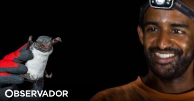 Entrevista a Ricardo Rocha, o caça-morcegos português: 