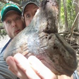 Mulher encontra dente de Megalodonte de 5 milhões de anos
