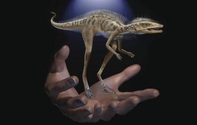 Ancestral dos dinossauros descoberto na África cabe na palma da mão