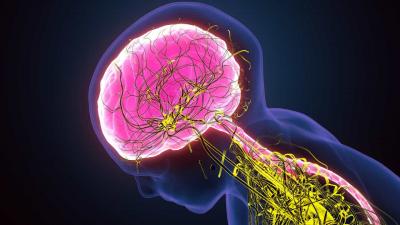 Covid-19 causa distúrbios neurológicos em pessoas com sintomas leves