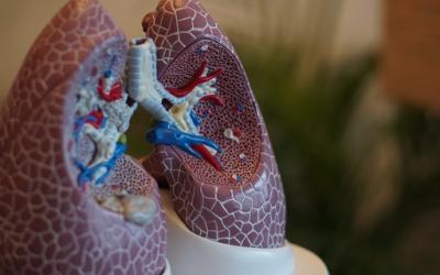 Células T no pulmão protegem crianças de formas graves da Covid-19