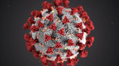 Brasileiros pesquisam possível predisposição genética para contrair coronavírus