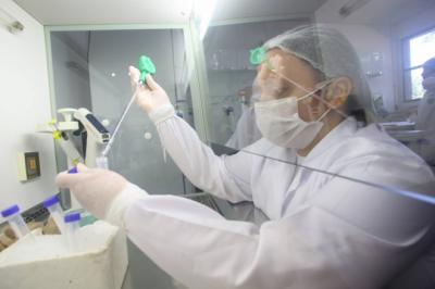 OMS confirma caso de gripe suína com potencial pandêmico, no Paraná