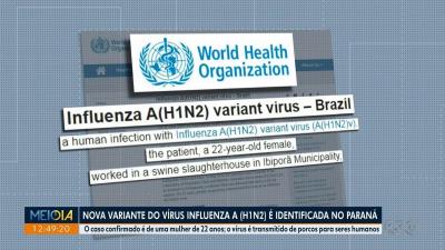 Infecção por variação rara de vírus da gripe é identificada no norte do Paraná, diz OMS