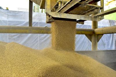 1º semestre: importação de soja do Brasil é quase 3 vezes maior em 2020