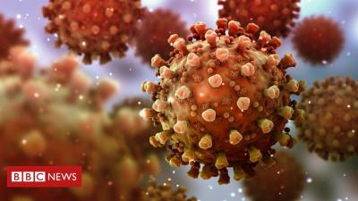 Coronavírus: o que a Ciência já sabe sobre imunidade pós-covid