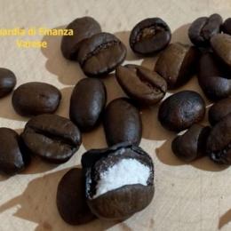 Polícia italiana encontra cocaína escondida dentro de grãos de café