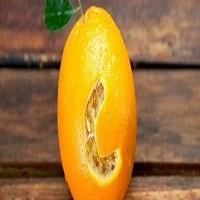 Conheça sete benefícios da vitamina C para a sua saúde