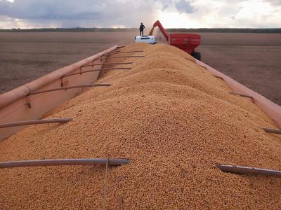Preços da soja seguem praticamente estáveis no Brasil; veja as cotações