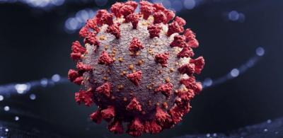 Contato prévio com outros coronavírus influencia resposta imune à covid-19
