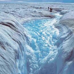 A Gronelândia perdeu 586 biliões de toneladas de gelo em 2019