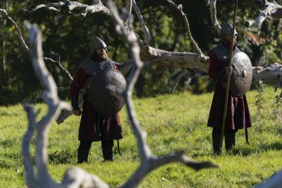 Pesquisa com DNA de mais de 400 vikings revela: eles não eram tão louros