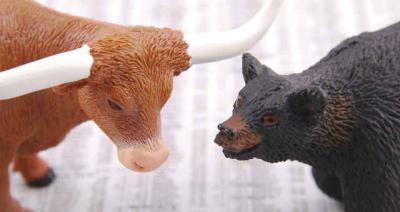 Ivan San'Anna: o que significa os animais utilizados como metáforas pelo mercado...