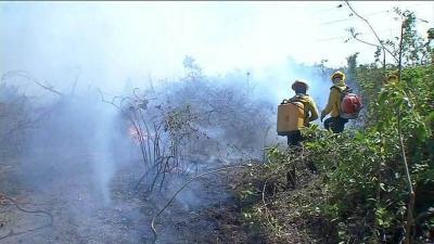 Chuva diminui focos de incêndio no Pantanal de MT após 4 meses de estiagem
