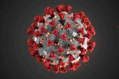 Ciência: imunidade contra o coronavírus tem vida curta