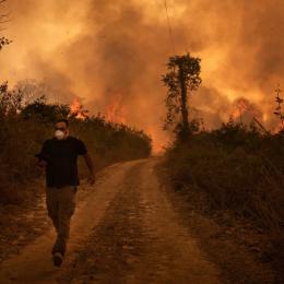 Área do Pantanal atingida por incêndio pode levar até 50 anos para se regenerar