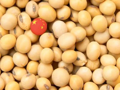 China só volta a comprar soja em 2021? Especialista responde