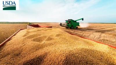 USDA: EUA já colheram 20% da soja e 15% do milho