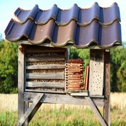 Aprenda a fazer um hotel para as abelhas solitárias