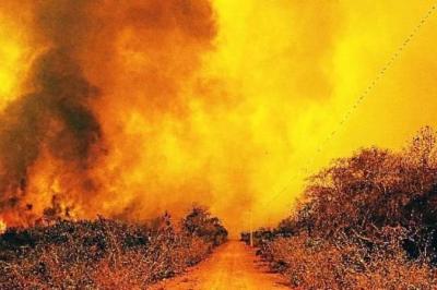 Cruzeiro: entenda como as queimadas no Pantanal prejudicam as condições do jogo contra o Cuiabá