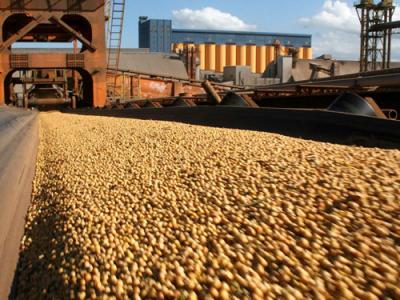 Sem taxa de importação, soja pode chegar ao Brasil por R$ 150 e milho a R$ 72