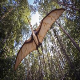 Pterossauros: os répteis voadores da era dos dinossauros