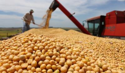 Um dos maiores produtores do mundo, Brasil importa soja dos Estados Unidos