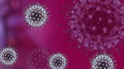 Cientistas encontram novas pistas sobre real origem do coronavírus
