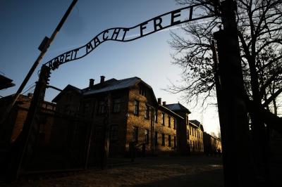 Diretor do Museu de Auschwitz tenta salvar menino da prisão