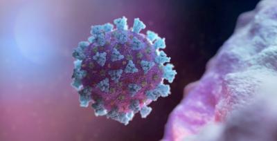 Estudo: anticorpos podem ficar mais fortes 6 meses após infecção por Covid-19