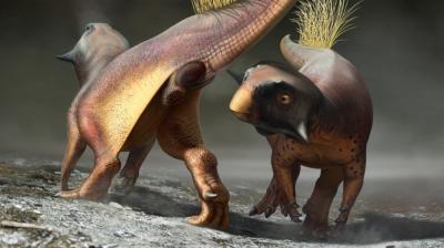 Paleontólogos estudam a cloaca de dinossauros a partir de fóssil encontrado na China