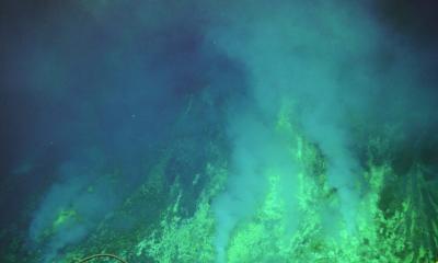 Centenas de formas de vida desconhecidas são encontradas em vulcão