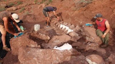 Fóssil encontrado na Argentina pode ser de maior criatura que já existiu