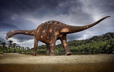 Titanossauro descoberto na Argentina pode bater recorde de maior animal terrestre da história