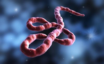 Epidemia de Ebola no Brasil seria pouco provável, afirma infectologista