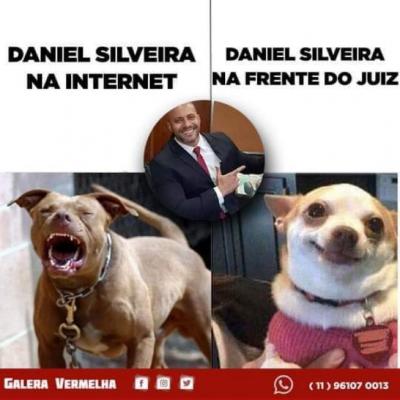 Caiu na Rede: a diferença do Daniel Silveira da Internet para o da vida real