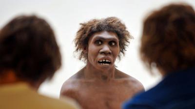 Inversão dos polos magnéticos da Terra pode ter causado extinção do neandertal