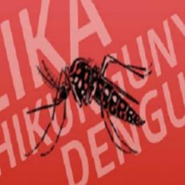  As diferenças entre dengue, chikungunya e zika